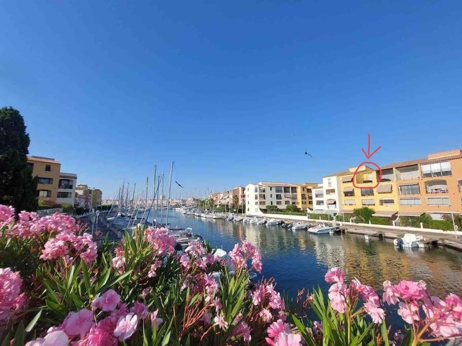 Cap'Nomad Studio Cote Port - Terrasse - Piscine - Parking 阿格德 外观 照片